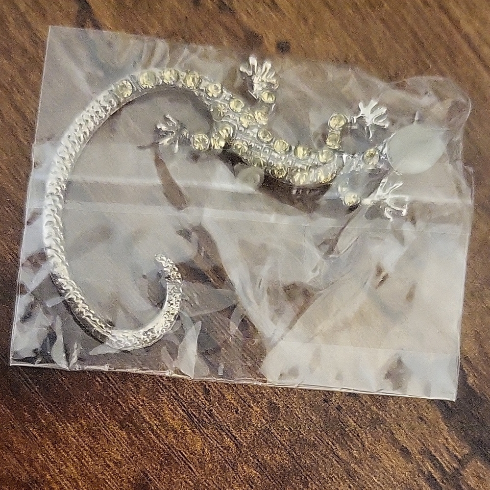 Silver Reptile Decor with Crystal Accents
